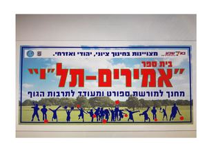 פלייר אמירים