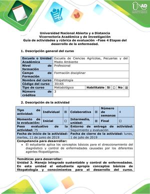 Guía De Actividades Y Rúbrica De Evaluación Fase 4