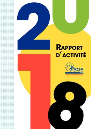 Rapport D'activité Bge Cher 2018