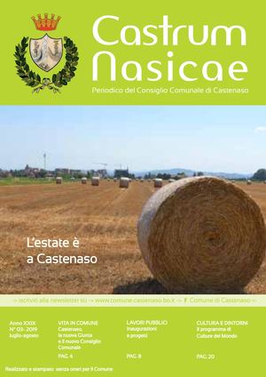 Castrum Nasicae 03