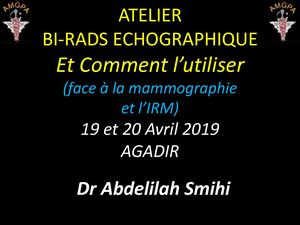 Bi Rads Echographique