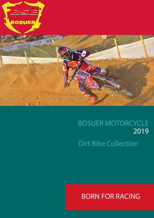 BOSUER MOTORCYCLE Dirt Bike Collection 2019