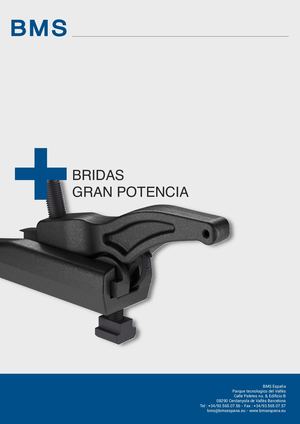 Bridas Gran Potencia