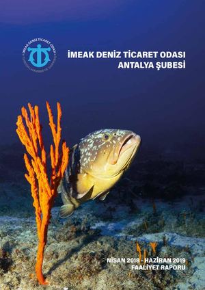 Dto Faali̇yet Raporu Son03,07,2019