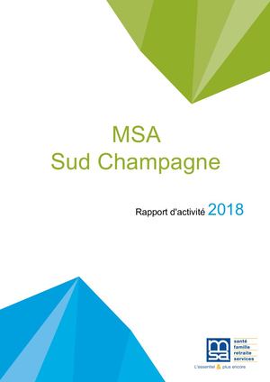 Rapport d'activité 2018