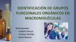 Identificación De Grupos Funcionales Orgánicos En Macromoléculas 2