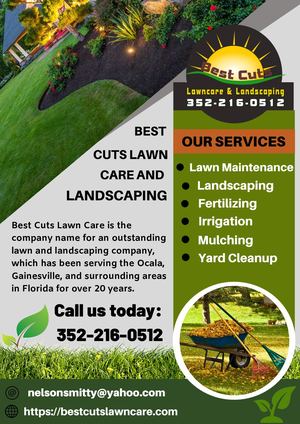 Best Cuts Lawn Care And Landscaping