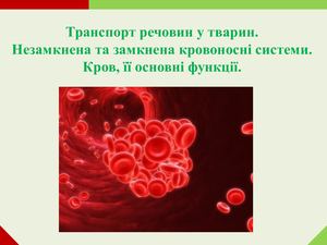 Презентація "Транспорт речовин у тварин"