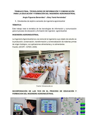 Trabajo Final Ciberespacio