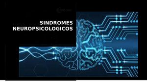 Sindromes Neuropsicologicos