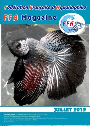 Ffa Mag Juillet 2019 Imp