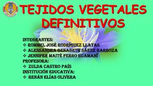Tejidos Vegetales Definitivos