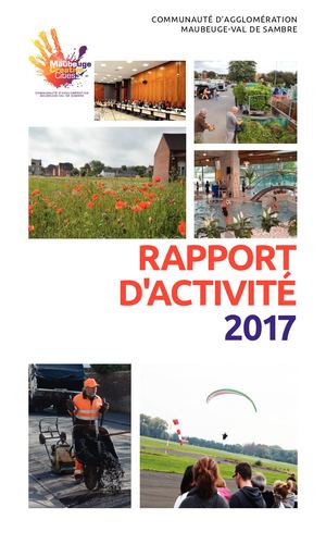 Rapport d'activité 2017