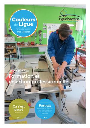 Couleurs de Ligue N°20