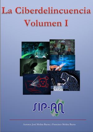 592 La Ciberdelincuencia Volumen I