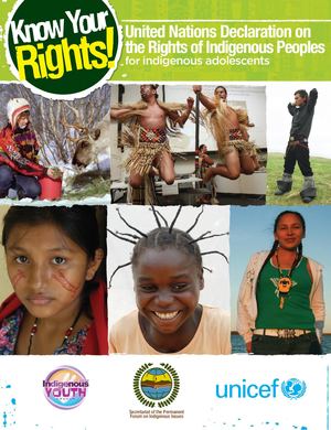 Hrbap Un Rights Indig Peoples