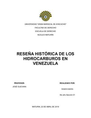 Rh Hidrocarburosi