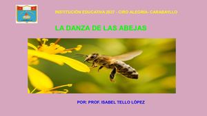 Lectura La Danza De Las Abejas