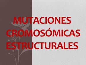 Mutacion Cromosomica Estructural