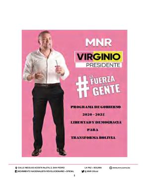 PROGRAMA MNR EG 2019