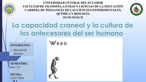 La Capacidad Craneal Y La Cultura