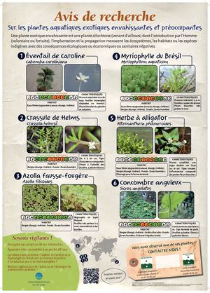 Poster Pee 2017 - Avis de recherche