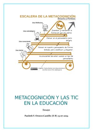 Metacognición Y Las Tic En La Educación Ensayo