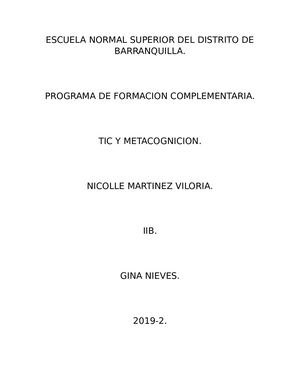 Tic's Y Metacognición Informatica