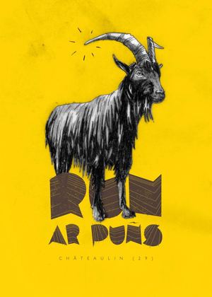 RUN AR PUÑS - SEPT-DEC 2019