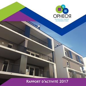 Rapport d'activité 2017