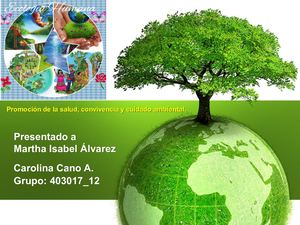 Promoción De La Salud, Convivencia Y Cuidado Ambiental
