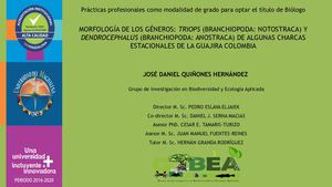 Morfología de algunos crustáceos de las charcas estacionales de La Guajira, Colombia
