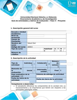 Guía De Actividades Y Rúbrica De Evaluación Fase 4 Proyecto Final