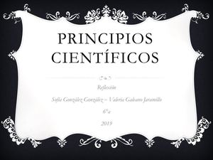 Principios Científicos