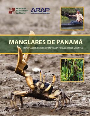 Manglares De Panama Web