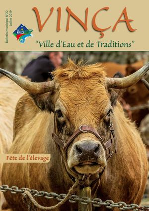 Bm 22 Vinça 19 Juillet 2019