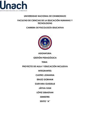 419846231 Proyecto De Aula Y Educacion Inclusiva 1