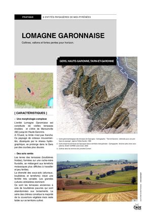 Entité paysahgère Lomagne Garonnaise