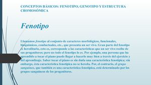 Conceptos Básicosbhjkg