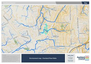 Environment Map - Overland Flow Paths