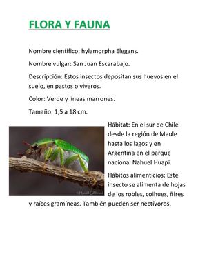 Flora Y Fauna