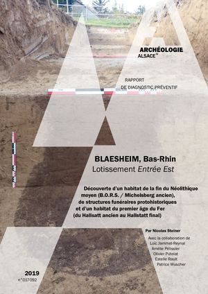 BLAESHEIM, Lotissement entrée Est (d)