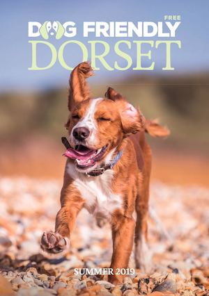 Dog Friendly Dorset - Summer 2019