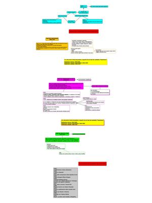 Leopardi Poetica Fasi