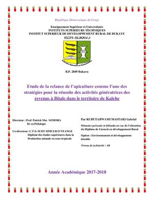 Memoire Kubutabwami Mastaki Gabriel 1