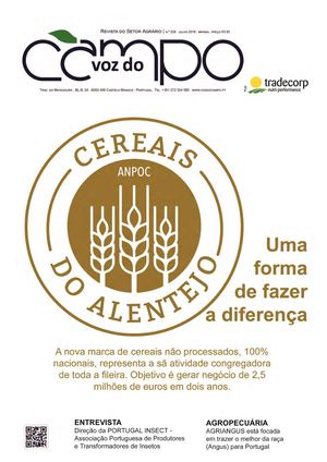 síntomas de diabetes aliou
