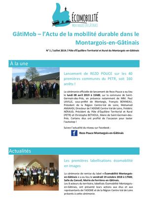 Lettre D'information De La Plateforme Territoriale De Mobilité Petr Du Montargois En Gâtinais J Uillet 2019