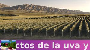 Subproductos De La Uva