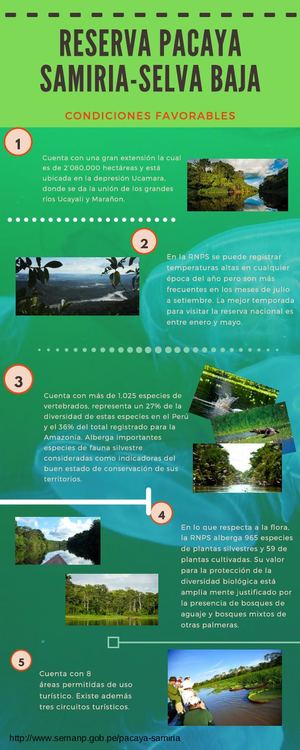 Infografia