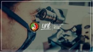 Dislexia Presentacion Y Comparacion Final